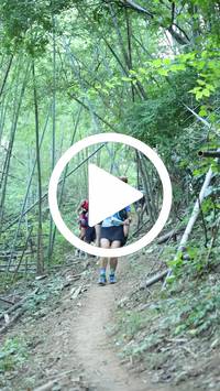 BIB:  <button type="button" onclick="openModal(28039835)" class="btn btn-primary btn-sm float-right" data-toggle="modal" data-target=".modal-high-quality">
                <i class="fa fa-download"></i> Download
                </button>